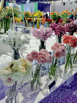 Beautiful floral displays at the Philadelphia Flower Show